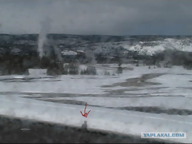 Америке грозит катастрофа