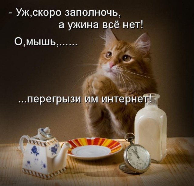 Смешные картинки