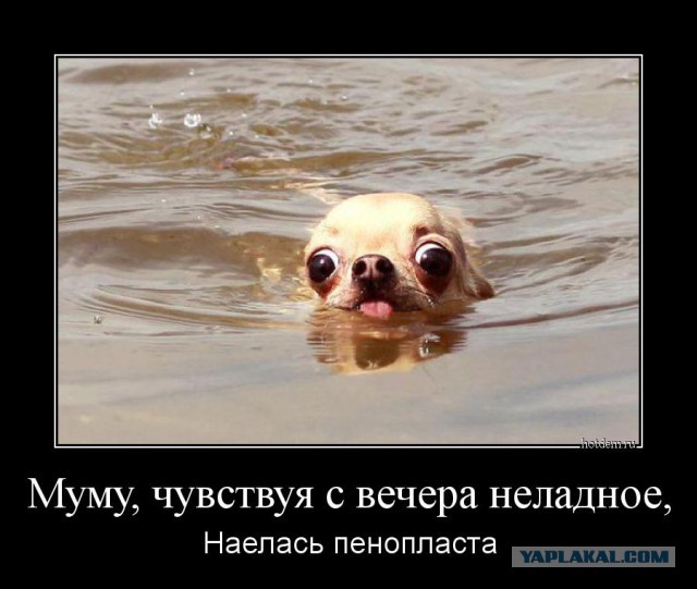 Смешные и не очень картинки из ВК