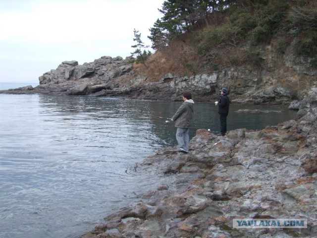 Рыбалка в Южной Корее зимой