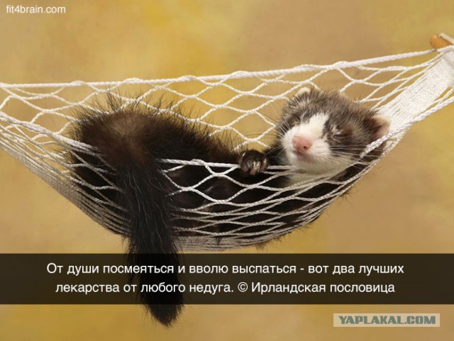 Пятница немного настроения