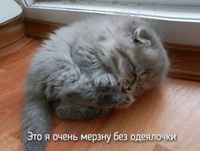 20 кадров, в которых мы невольно узнаём самих себя