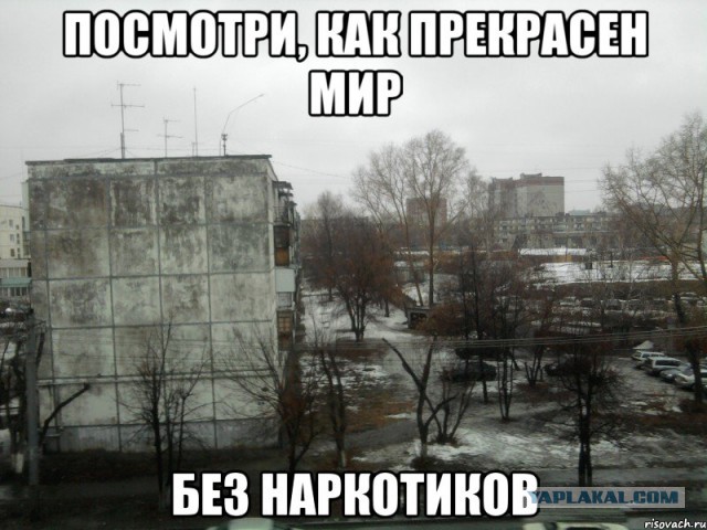 Моя районная больница