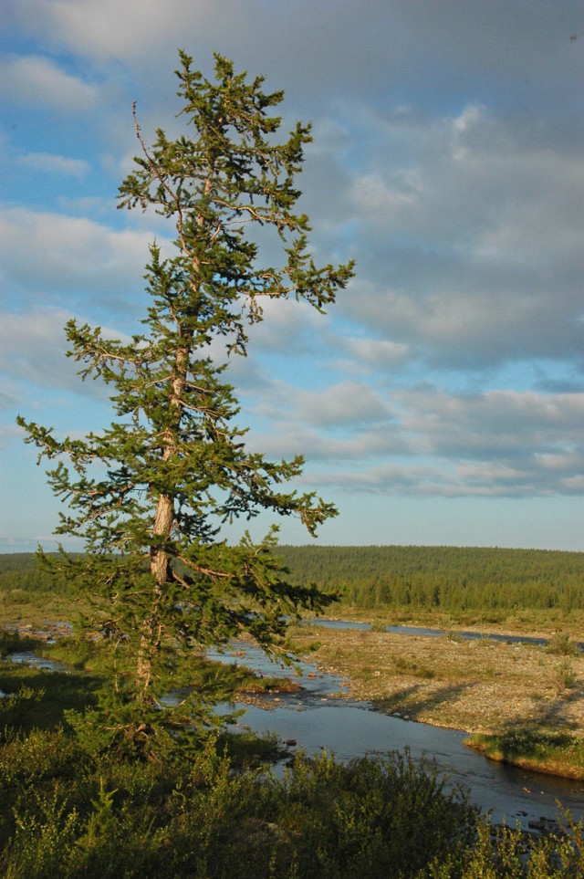 Деревенская Америка
