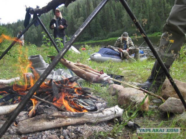 Сибирь 2015