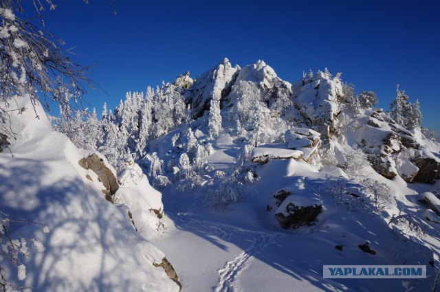 В горы. Выгонять похмелье.