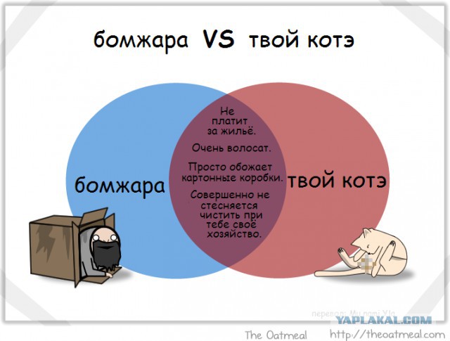 Абсурдный юмор
