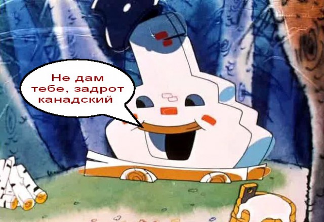 У канадца в лютый мороз отказала печка