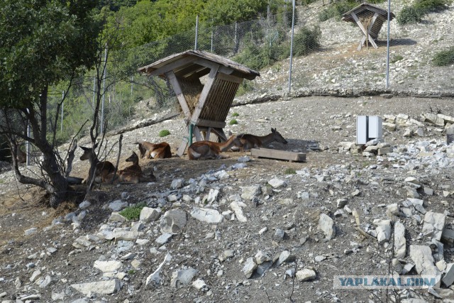 Вечерний Геленджик