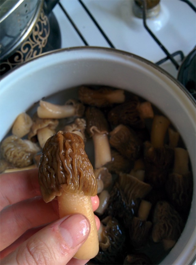 Открытие весенней охоты!