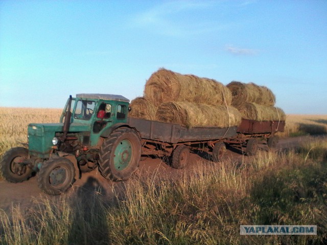 На деревню к бабушке: как отдыхали дети в СССР