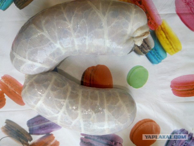 Salame Rosa - позабытая сестра Мортаделлы