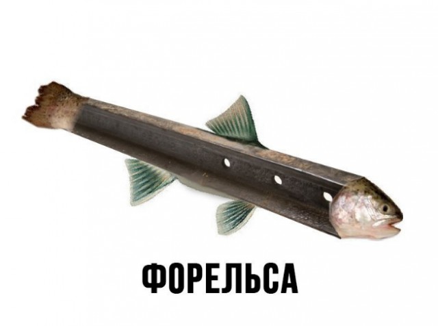 Сборище абсурда