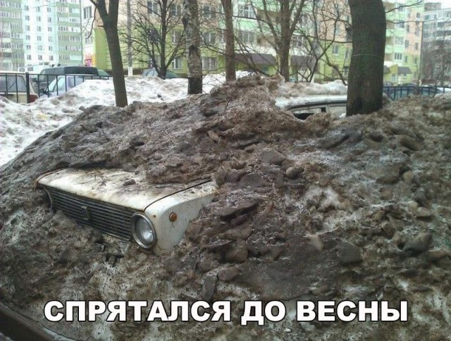 Пятничная подборка картинок