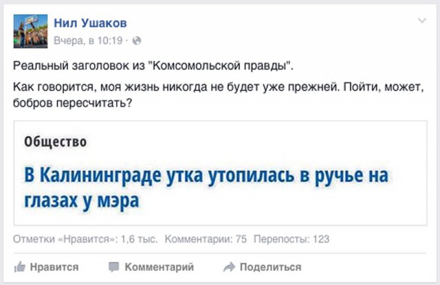 Просто мастера заголовка!