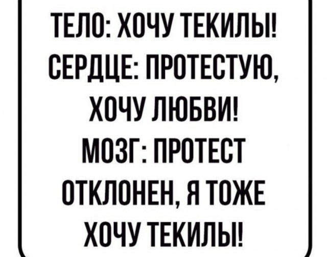 Смешные картиночки с интернетов