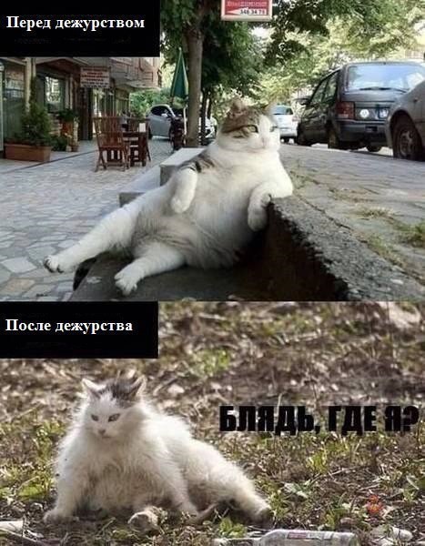 Злой медик - шутки, прибаутки и так, по мелочи