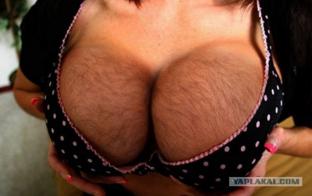 Переосмысление сисек.