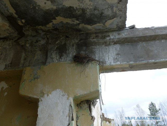 Осколки страны