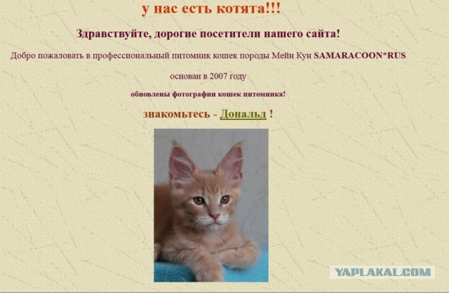 Мы не рабы! Рабы не мы! (котовторнику посвящается)