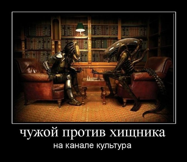 Чутка Демотиваторов на ПН