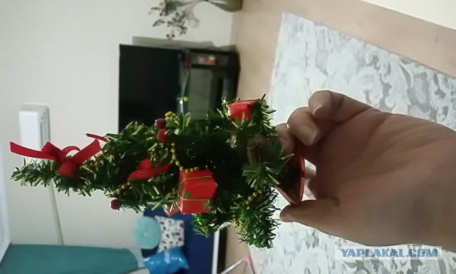 А давайте Ёлками меряться!?