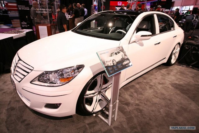 Sema Show 2008 (30 фото)