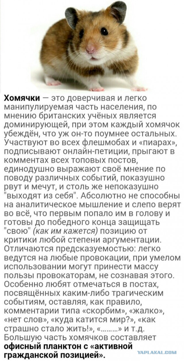 Итоги выборов online: обсуждаем "Выборы - 2018"