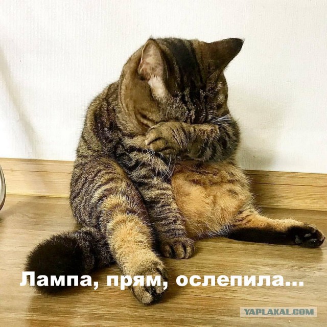 Секс бесплатным не бывает, или сказ о том, как следователь нагнул систему