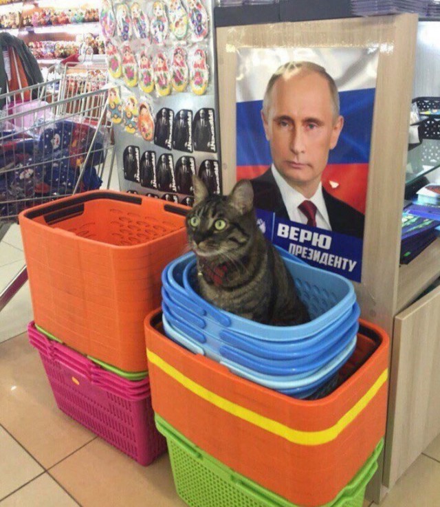 Немного милоты