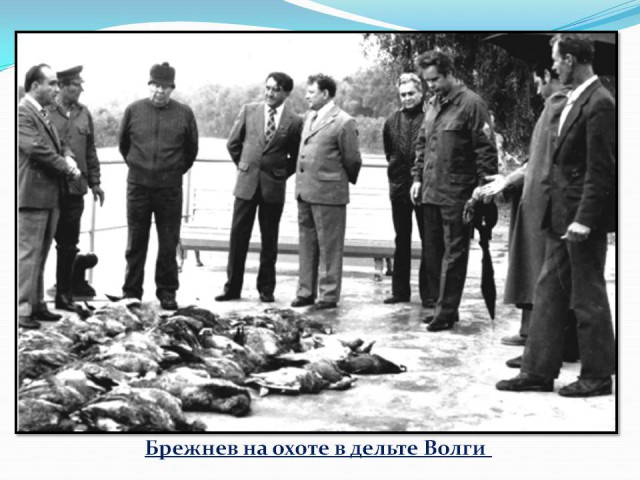 История в фотографиях