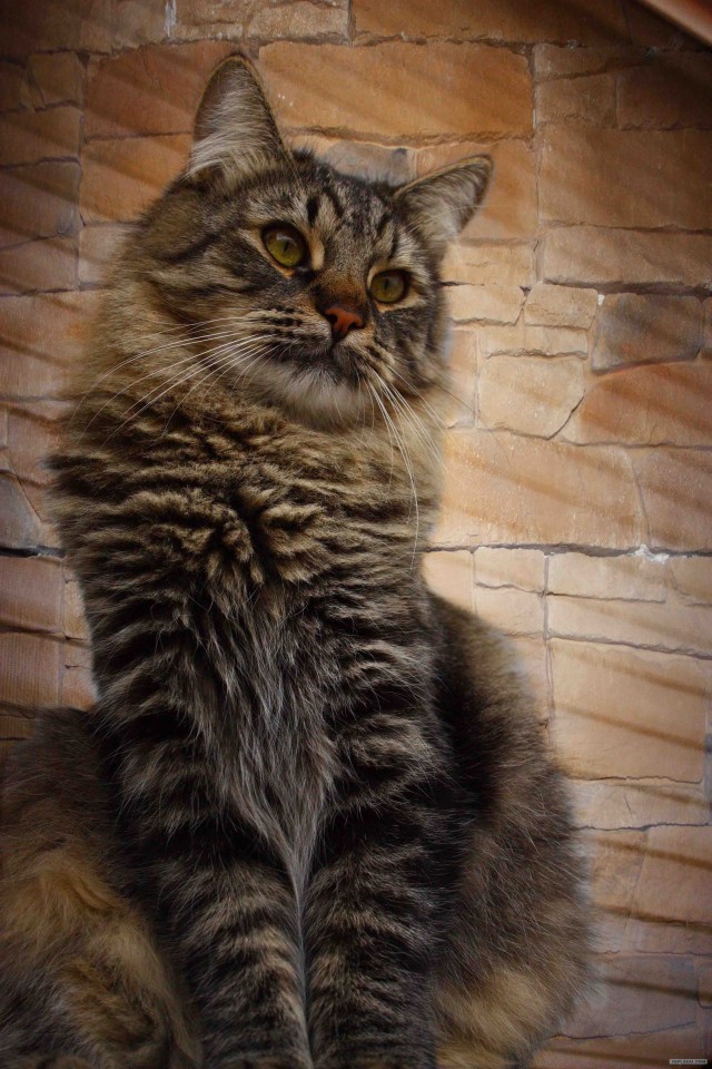 КОТовторник 13.04.2010г.