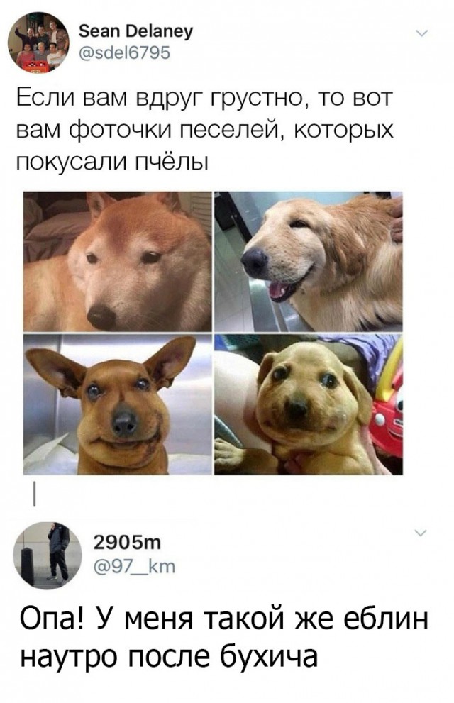 Нестандартный юмор