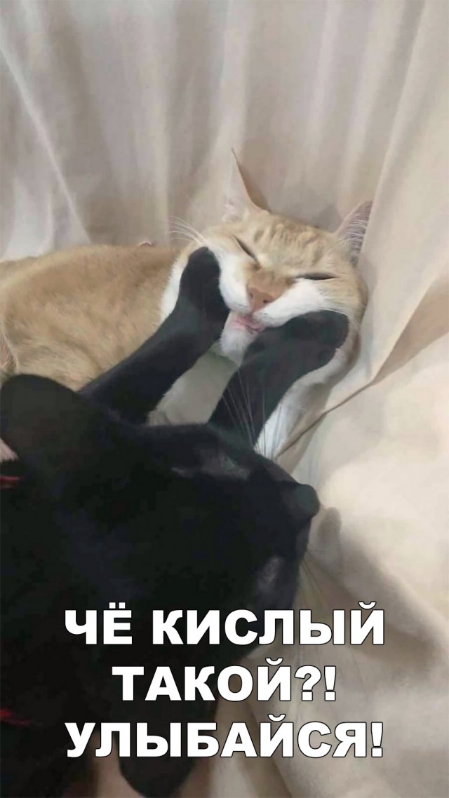 Нестандартный юмор
