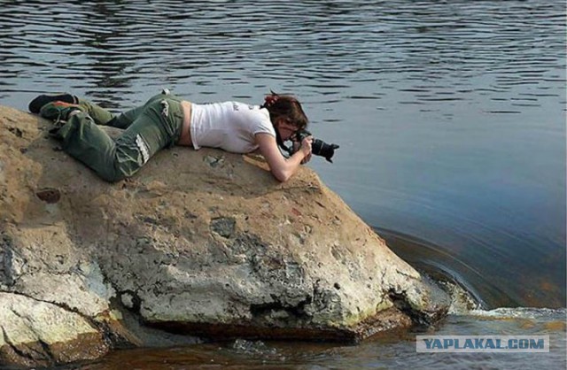 Безумные фотографы-новички, которые заставят вас плакать от смеха