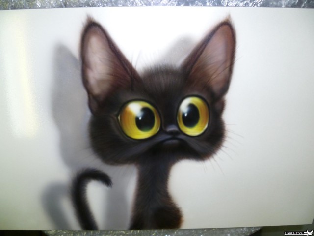 Котовторник 27.12.11
