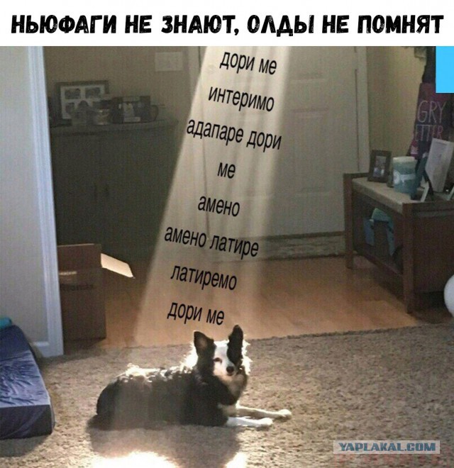 Нестандартный юмор