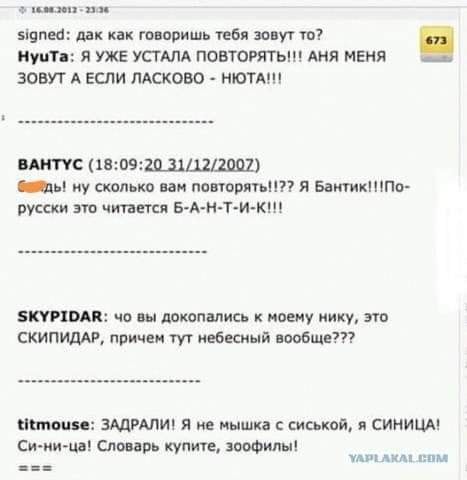 2012 год. ЯП. Про ники.