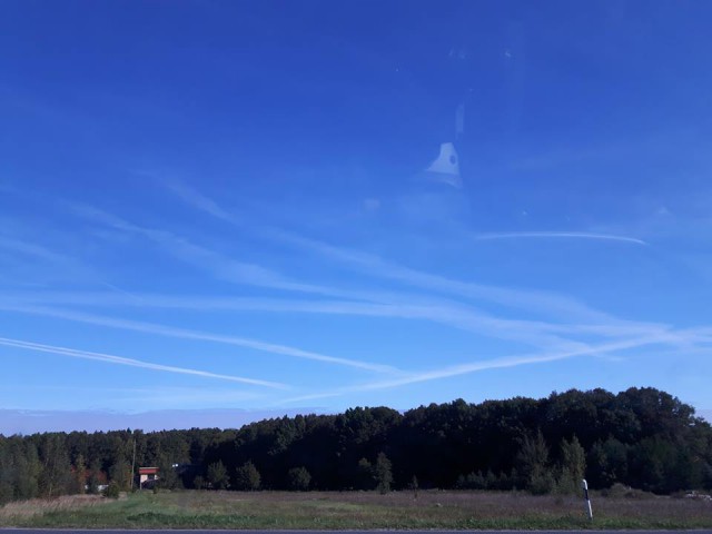 Нил Деграсс Тайсон об НЛО (перевод)
