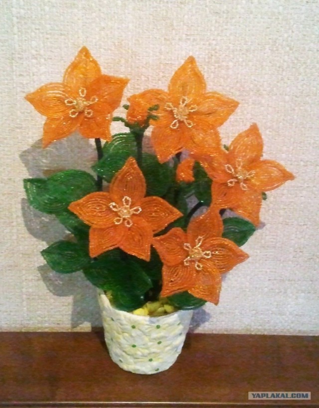 Бисер-2