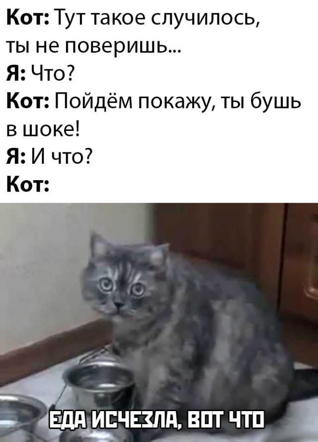 Несколько картинок для настроения