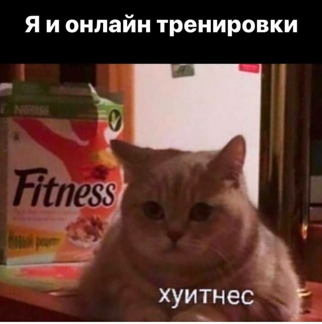 Бредзона 04.06.2020