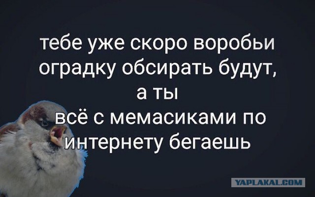 Бредзона 18.06.2020