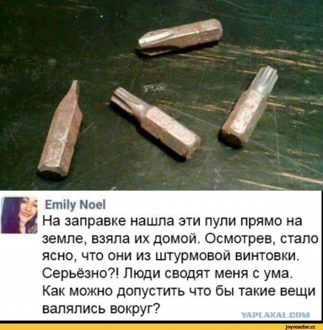 Полное видео про убийство хаски под Челябинском