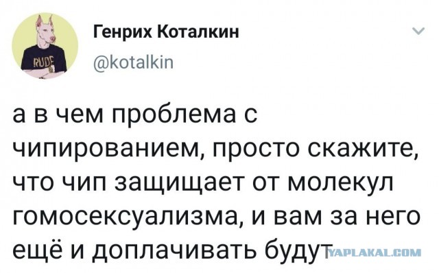 Так себе картинки 07.07.20