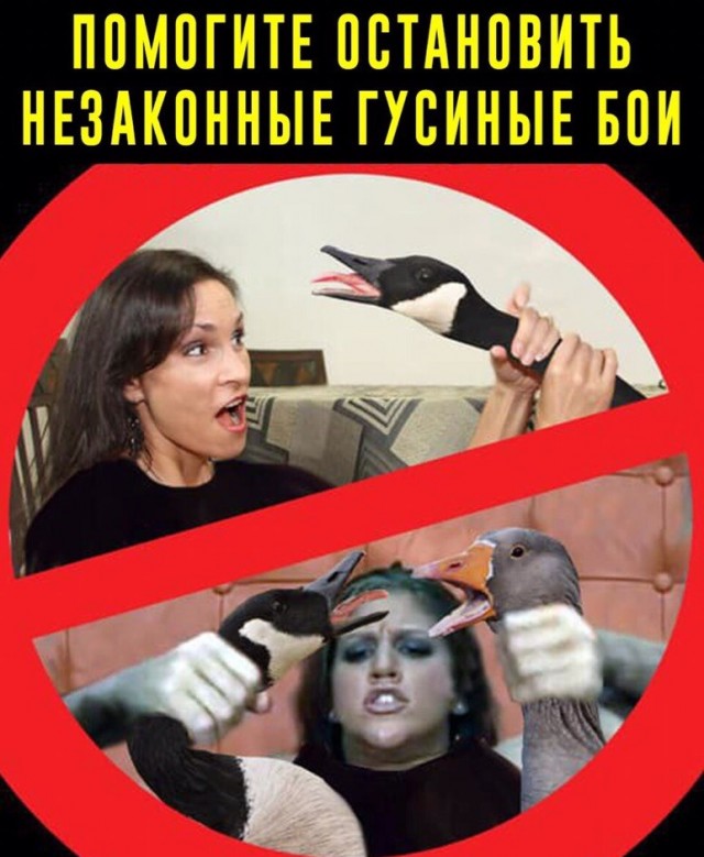 Не очень адекватный юмор