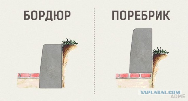 Слова, которые выбешивают