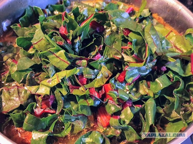 #ЯПовар. Куббе.