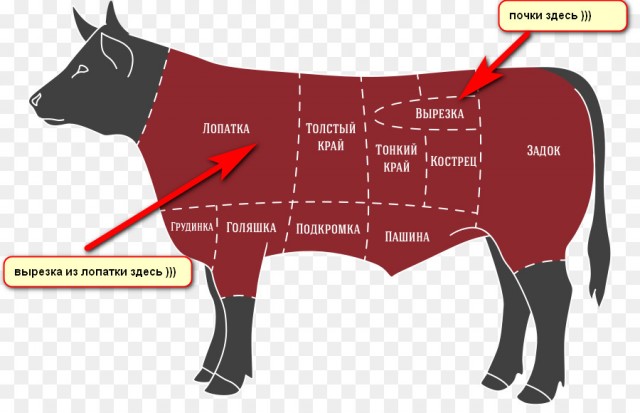Беш-панжа, или Пятипалый шашлык