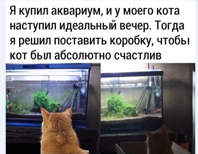 Картинки и мемы для настроения 022